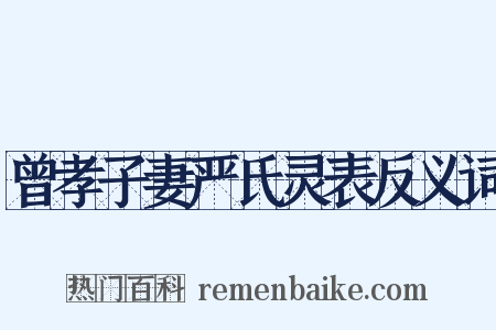 曾孝子妻严氏灵表反义词是什么意思的图片